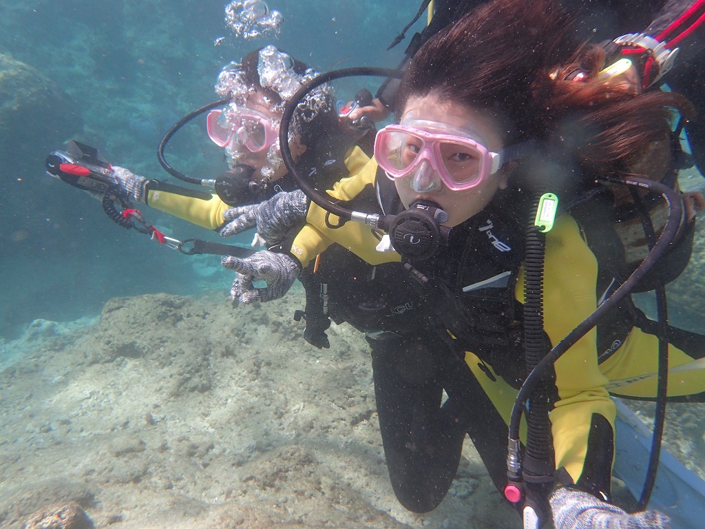 熱帶魚體驗潛水