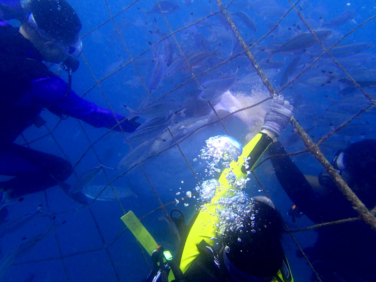 沖繩的廉價潛水是？