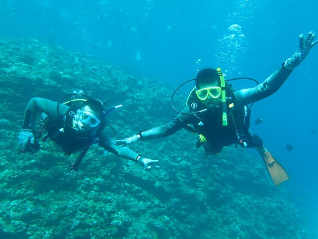 便宜的沖繩潛水是？