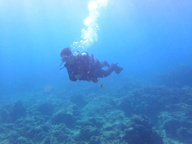 沖繩的水肺潛水費用是？水肺的費用是？