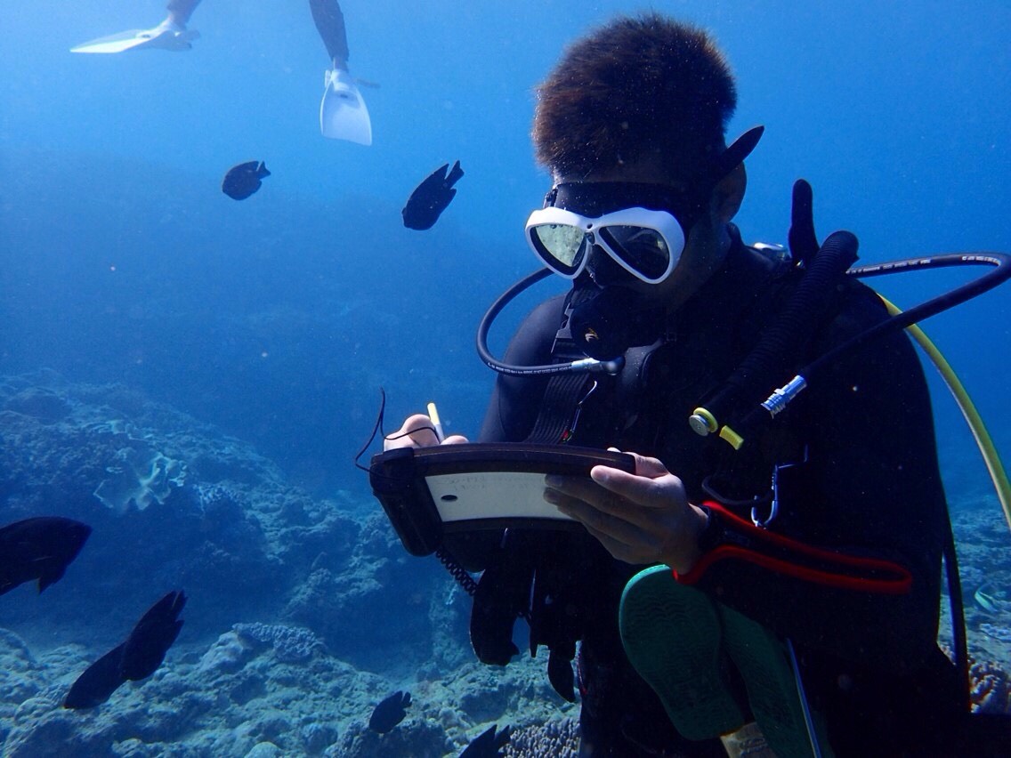 沖繩信息045 沖繩的複習潛水是複習之旅是
