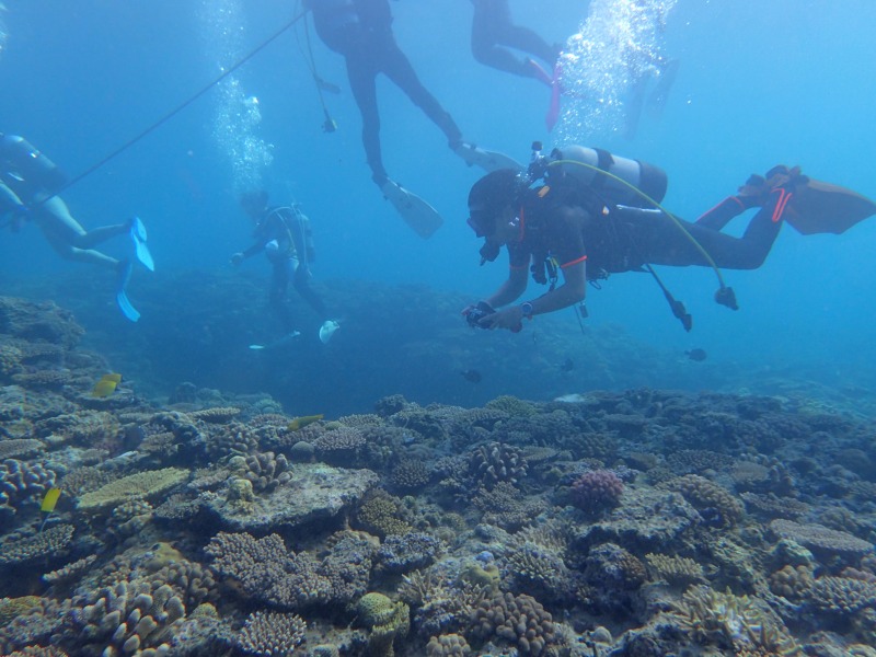 沖繩信息048 沖繩的水肺潛水是？推薦的潛水之旅是