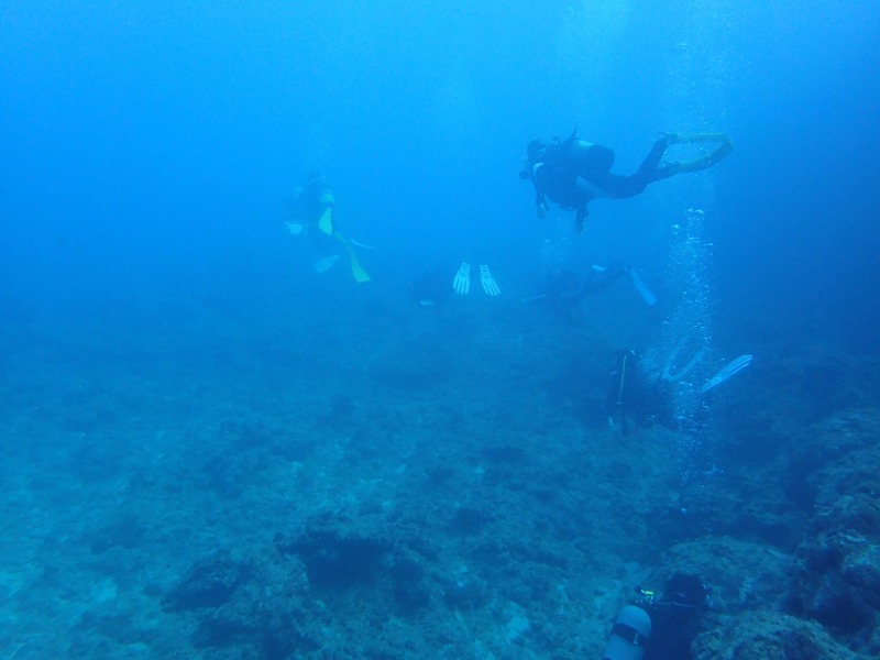深潛（有執照潛水）&沖繩特色拖鞋體驗