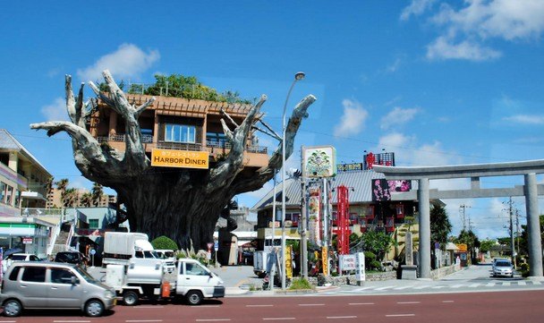 冲绳树屋