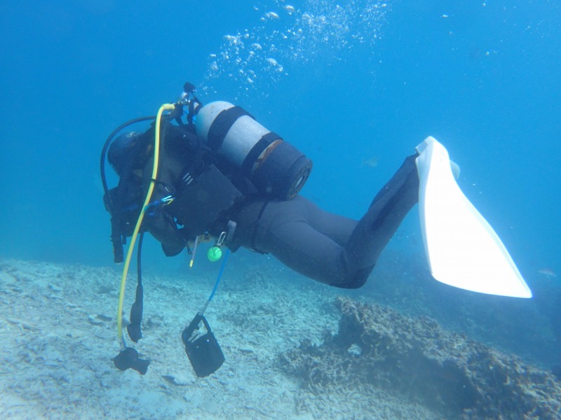 熱帶魚深潛線路探索