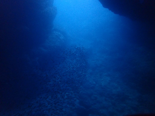 青洞体验潜水