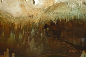 沖繩 生命困境的洞窟