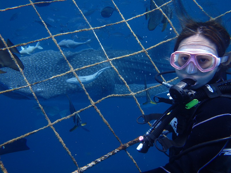 2016.4.1鯨鯊線路體驗潛水