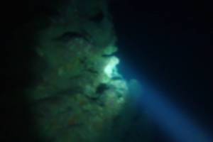 night diving 9月9日