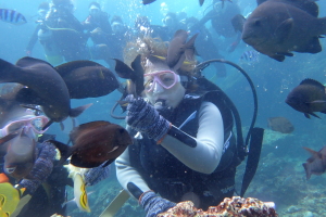 OLYMPUS DIGITAL CAMERA