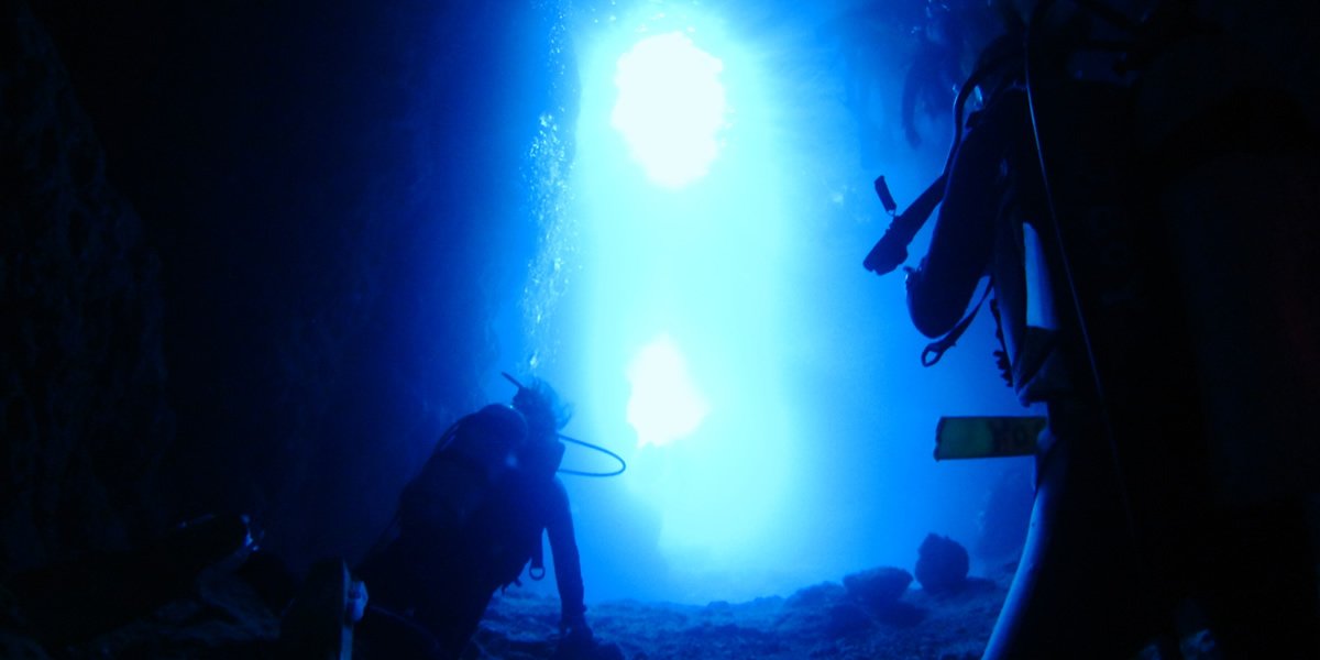 青之洞窟&熱帶魚套裝線路三個眼睛的照片