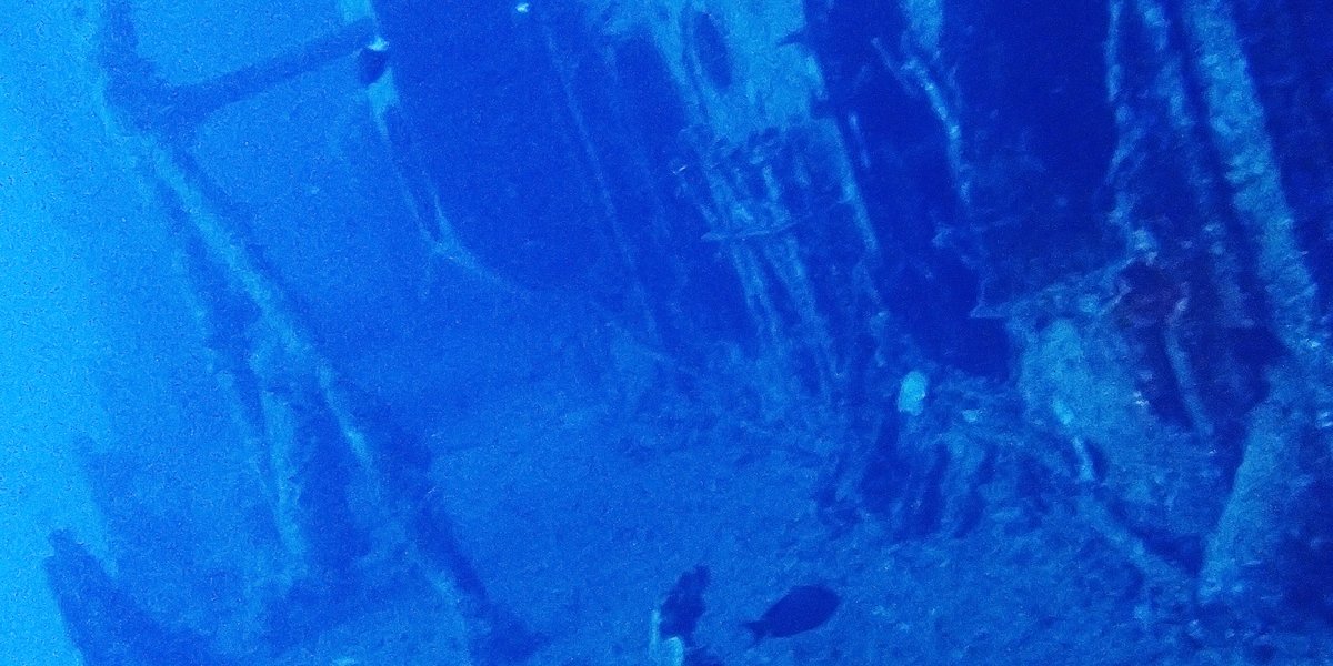 古宇利島沉船EMMONS有執照潛水線路二個眼睛的照片