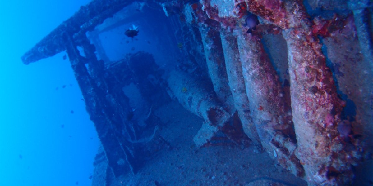 古宇利島沉船EMMONS有執照潛水線路二個眼睛的照片