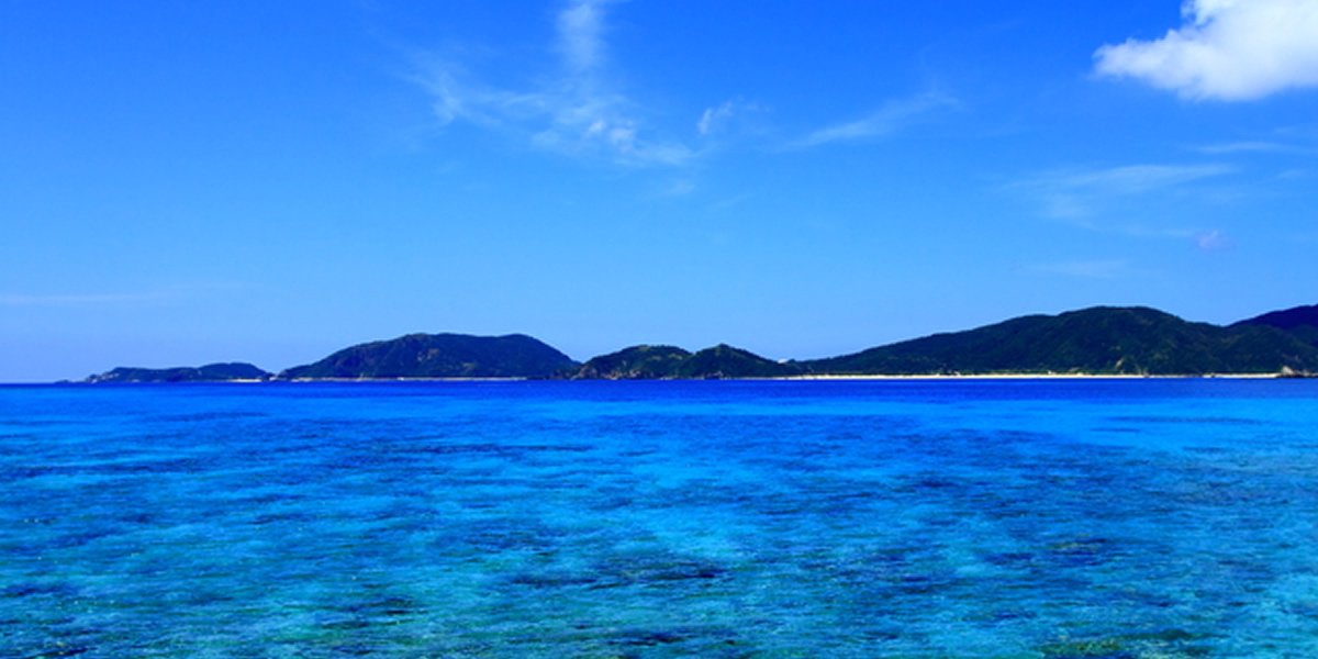 慶良間諸島深潛（有執照）二個眼睛的照片