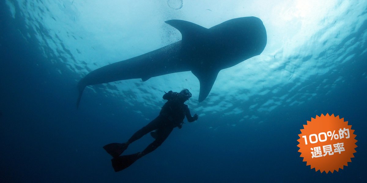 鯨鯊線路&原創沖繩夾腳拖製作體驗三個眼睛的照片