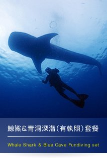 鯨鯊&青洞深潛（有執照）套餐