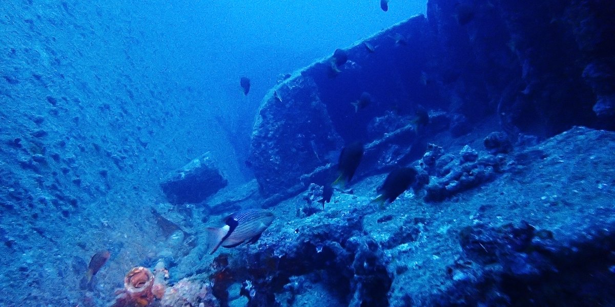 古宇利島沉船EMMONS有執照潛水線路一個眼睛的照片